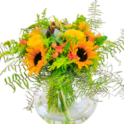 Imbued with a sense of sunlit opulence, this bouquet gathers striking yellow sunflowers and plush garden roses into a generous, modern composition reminiscent of Belgravia's leafy streets and stately architecture. The glass globe vase, crystal-clear and perfectly round, showcases the bouquet's green stems submerged in glistening water-a detail that hints at the crisp refinement typical of a West London florist. Sunflowers, with their radiant petals and dark, intricate centers, are set beside tightly-layered yellow roses that evoke the classic blooms seen in private gardens off Eaton Square. Glossy crimson Hypericum berries nestle among the flowers, their shiny skins catching the eye and echoing the cheerful tones found at Belgravia's local markets. Trailing ferns and light, airy vines spill gently over the vessel's rim, conjuring the feeling of lush summer greenery in local parklands. Subtle eucalyptus, tinged blue-grey, peeks throughout, contributing an earthy, aromatic undertone. The arrangement's visual and textural interplay is as inviting up close as from a distance-contrasts between the velvety sunflower centers, the silken rose petals, and the crisp verdant leaves are palpable. Designed for heartfelt occasions, this bouquet is ideal for birthdays, anniversaries, or simply infusing Belgravia homes with the joy and brightness of the season-evoking memories of open gardens and cherished gatherings.